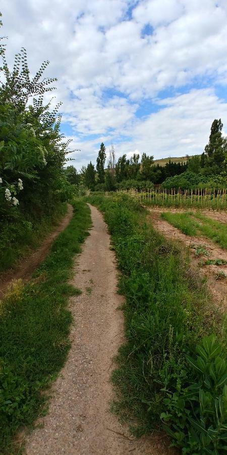 Apartamento ENTREVIÑAS en el corazón de La Rioja Fuenmayor Exterior foto